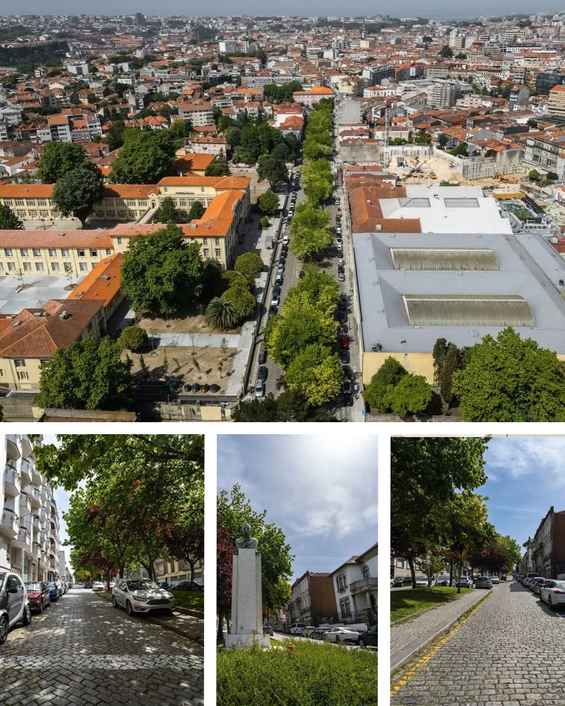 Perspetiva da Avenida de Camilo, no Porto, abrangida por um projeto de requalificação urbana que inclui novos espaços pedonais, zonas verdes, melhorias de acessibilidade e reorganização da circulação automóvel.
