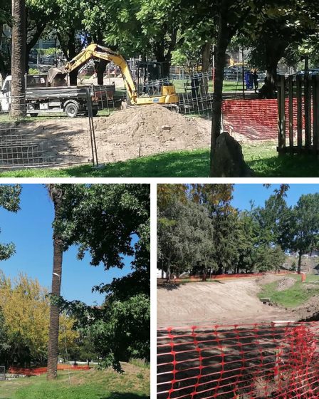Reabilitar o Jardim Paulo Vallada