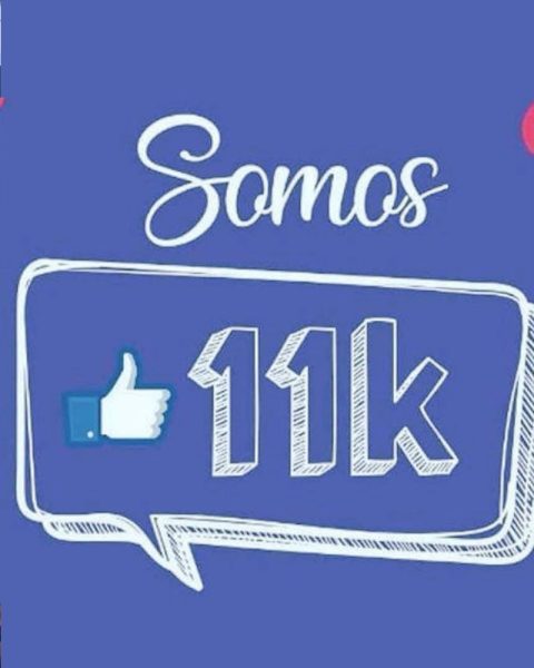 Comunicação da Junta de Freguesia do Bonfim destaca o crescimento do número de seguidores no Facebook e Instagram e o compromisso de proximidade com a população.