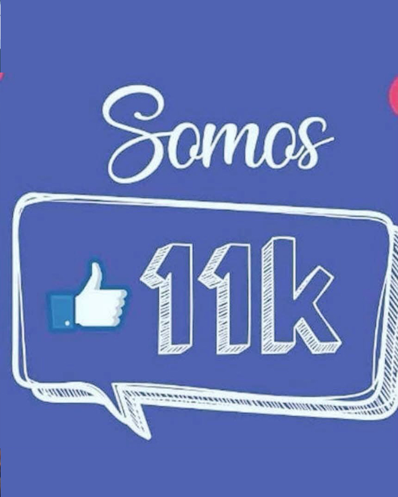 Comunicação da Junta de Freguesia do Bonfim destaca o crescimento do número de seguidores no Facebook e Instagram e o compromisso de proximidade com a população.